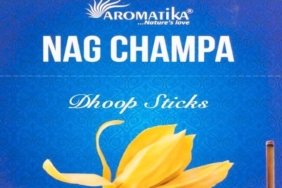 Perakendenin Gizli Gücü: Arkadaş Hediyelik